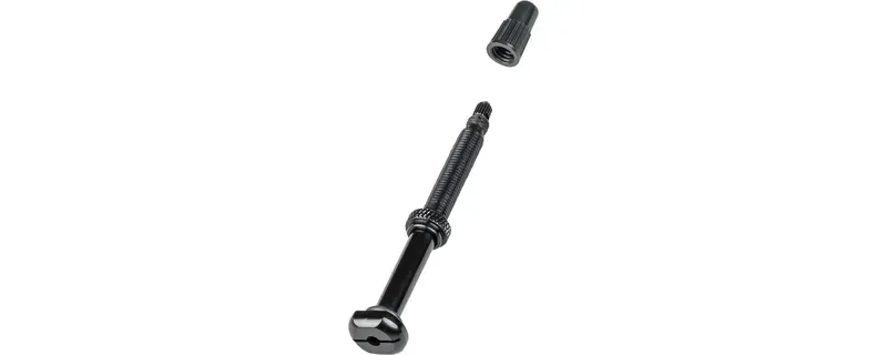 Bontrager Tubeless 67mm Presta Valve in Black