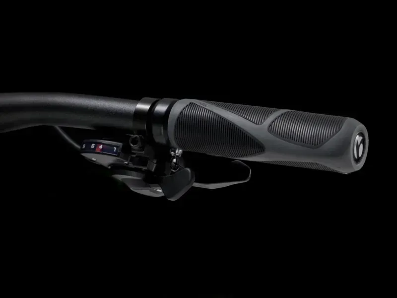 Trek Dual Sport 2 Hybrid Bike in Lava-3