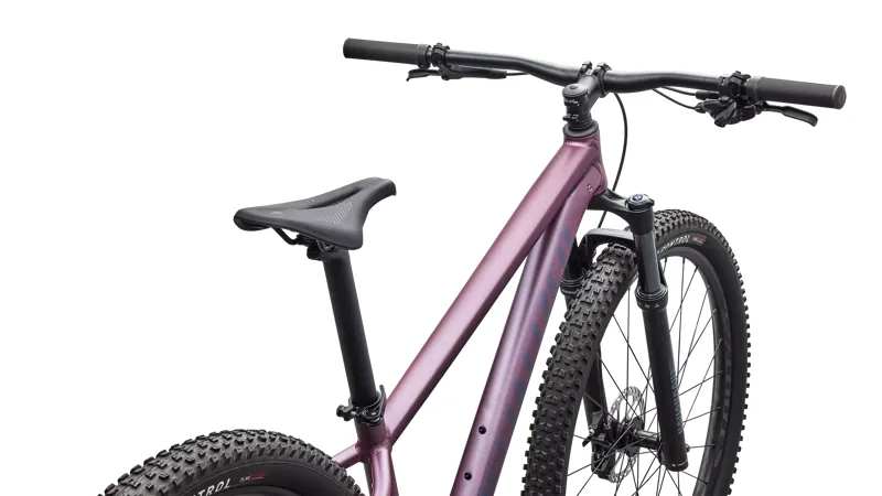 Rockhopper Expert Quartz / Mauve-1