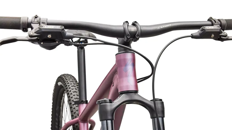 Rockhopper Expert Quartz / Mauve-2