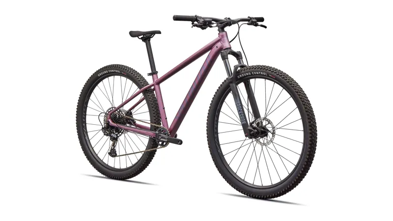Rockhopper Expert Quartz / Mauve-3