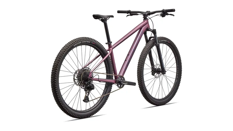 Rockhopper Expert Quartz / Mauve-4