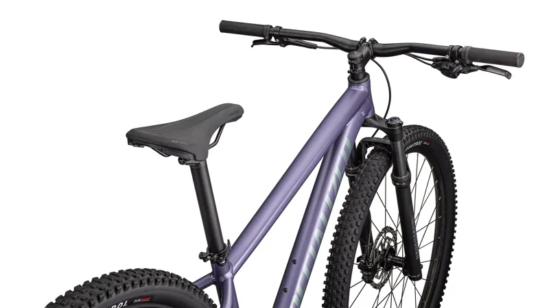 Rockhopper Comp Mauve / Fjord-3