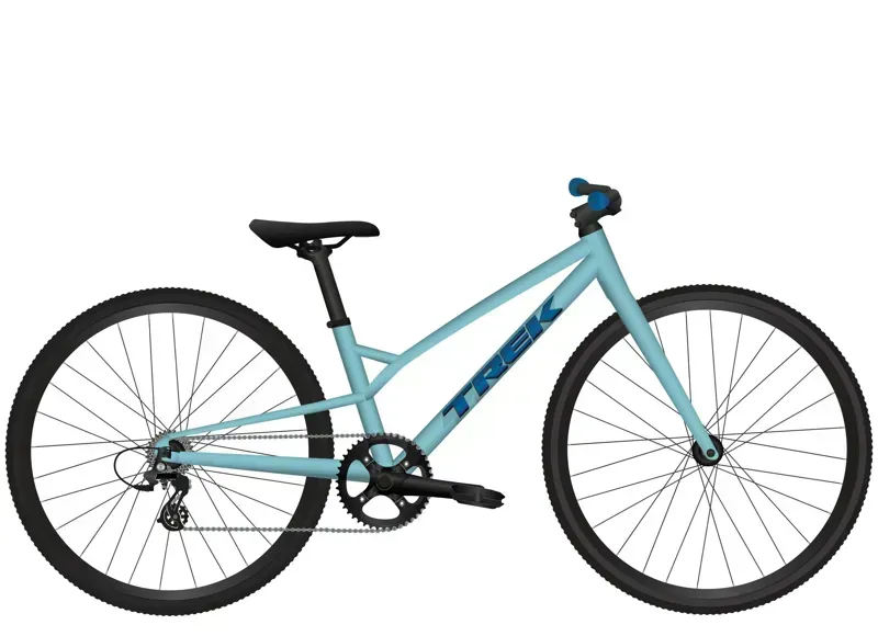 Trek Wahoo 26 Path Kids Bike in Blue Sage