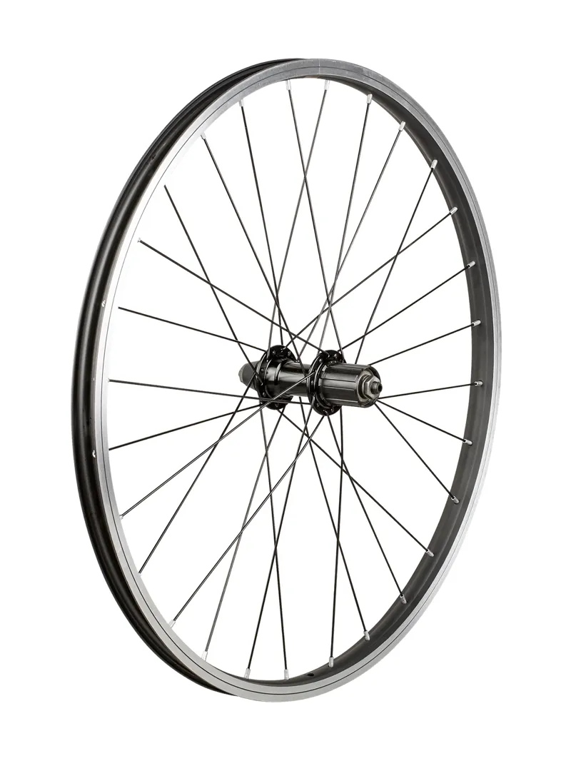 trek rear wheel